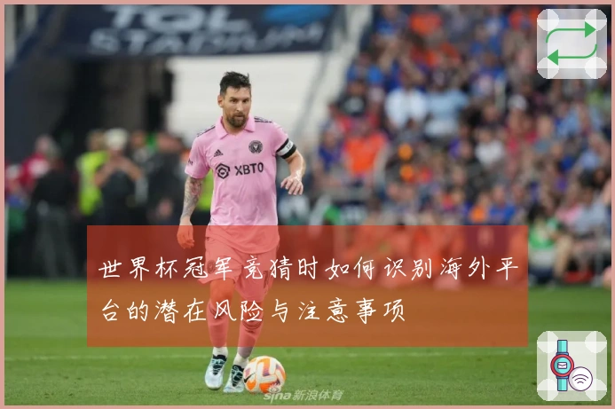 世界杯冠军竞猜时如何识别海外平台的潜在风险与注意事项