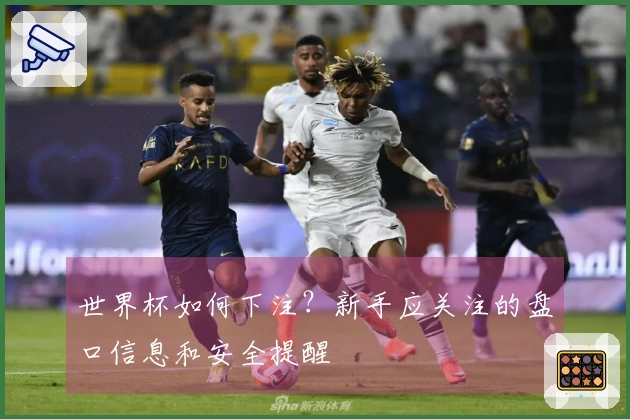 世界杯如何下注？新手应关注的盘口信息和安全提醒