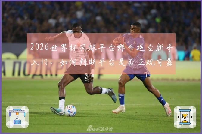 2026世界杯买球平台哪个适合新手入门，如何判断平台是否正规可靠