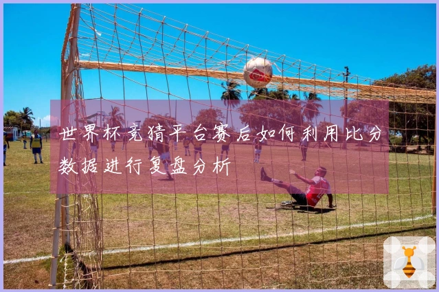 世界杯竞猜平台赛后如何利用比分数据进行复盘分析