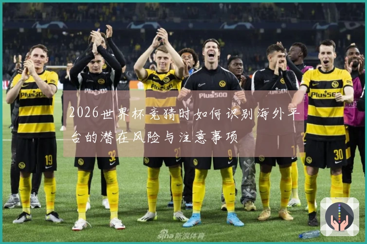 2026世界杯竞猜时如何识别海外平台的潜在风险与注意事项