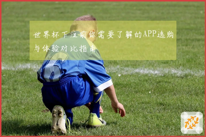 世界杯下注前你需要了解的APP选购与体验对比指南