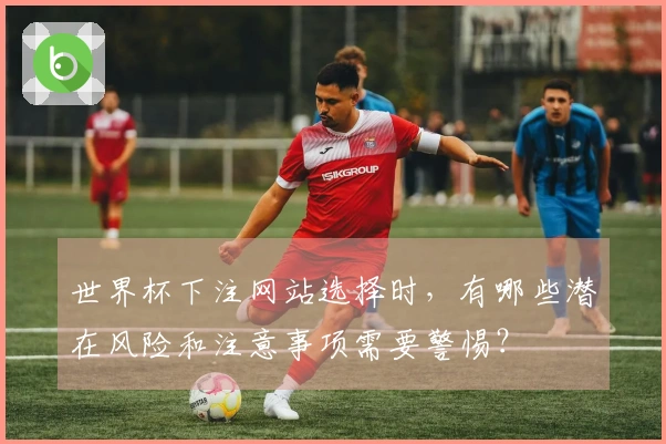 世界杯下注网站选择时，有哪些潜在风险和注意事项需要警惕？
