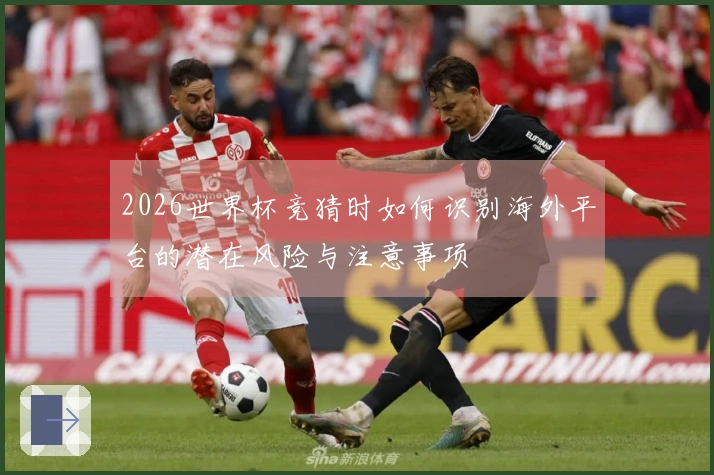 2026世界杯竞猜时如何识别海外平台的潜在风险与注意事项