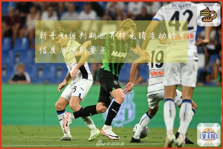 新手如何判断世界杯竞猜活动的可信度与规则要点