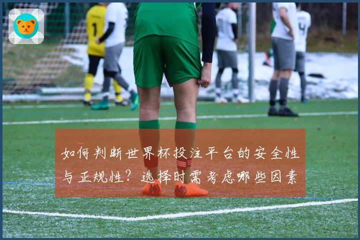 如何判断世界杯投注平台的安全性与正规性？选择时需考虑哪些因素？