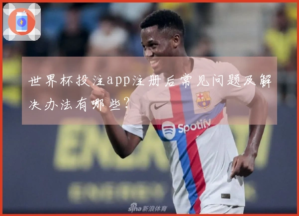 世界杯投注app注册后常见问题及解决办法有哪些？