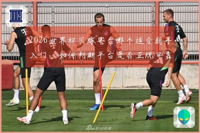 2026世界杯买球平台哪个适合新手入门，如何判断平台是否正规可靠