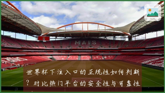 世界杯下注入口的正规性如何判断？对比热门平台的安全性与可靠性
