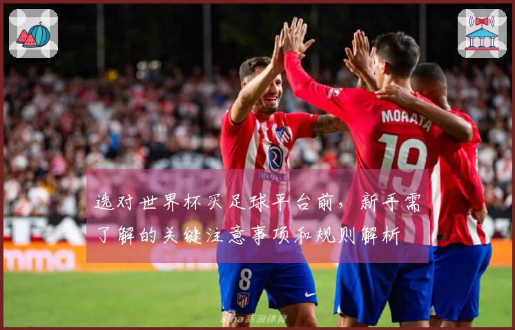 选对世界杯买足球平台前，新手需了解的关键注意事项和规则解析