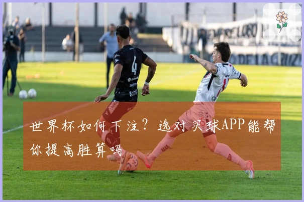 世界杯如何下注？选对买球APP能帮你提高胜算吗