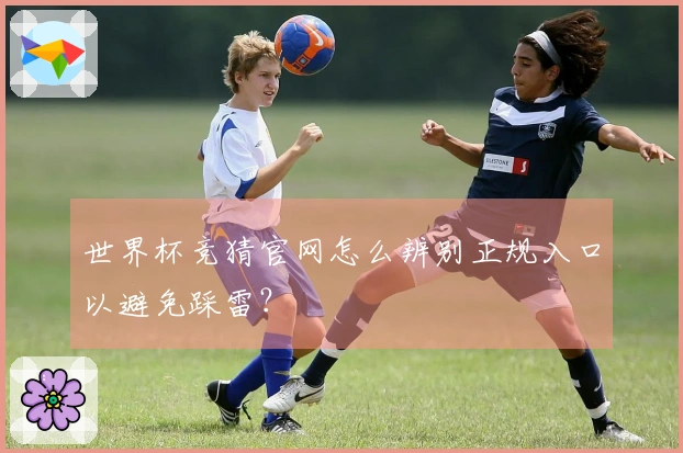 世界杯竞猜官网怎么辨别正规入口以避免踩雷？