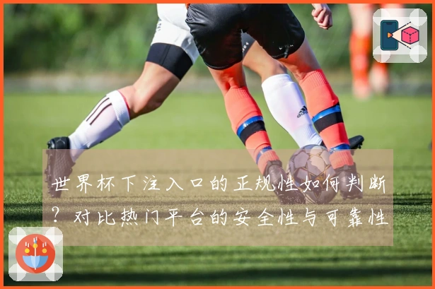 世界杯下注入口的正规性如何判断？对比热门平台的安全性与可靠性